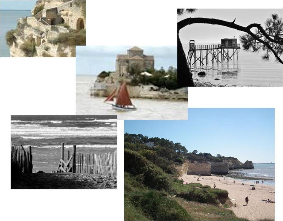 Chambre d'hôtes le Berceau Meschers-sur-Gironde Exterior foto